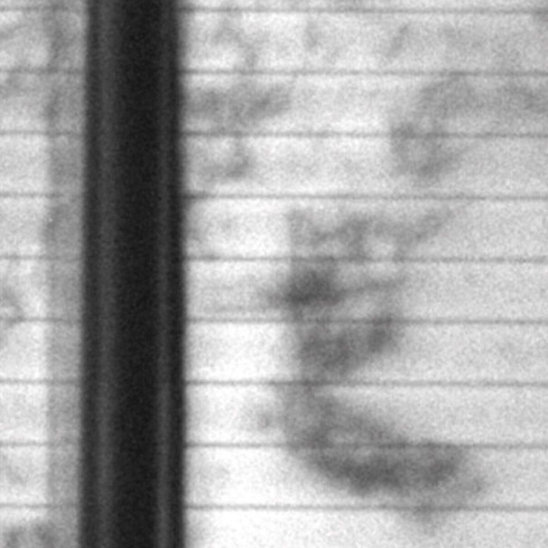 ... im Vergleich mit EL Bild