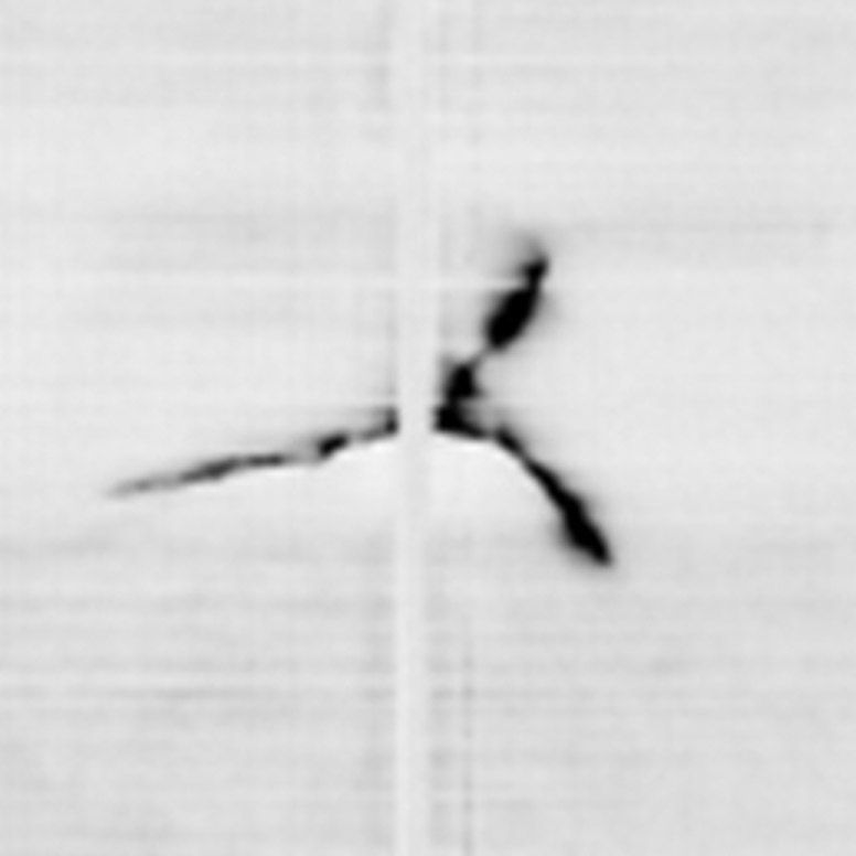 Solarzelle mit Mikroriss