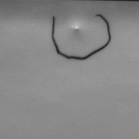 Einschluss in Keramiksubstrat