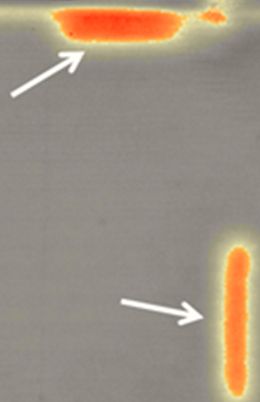 Inspektion mit Thermographie