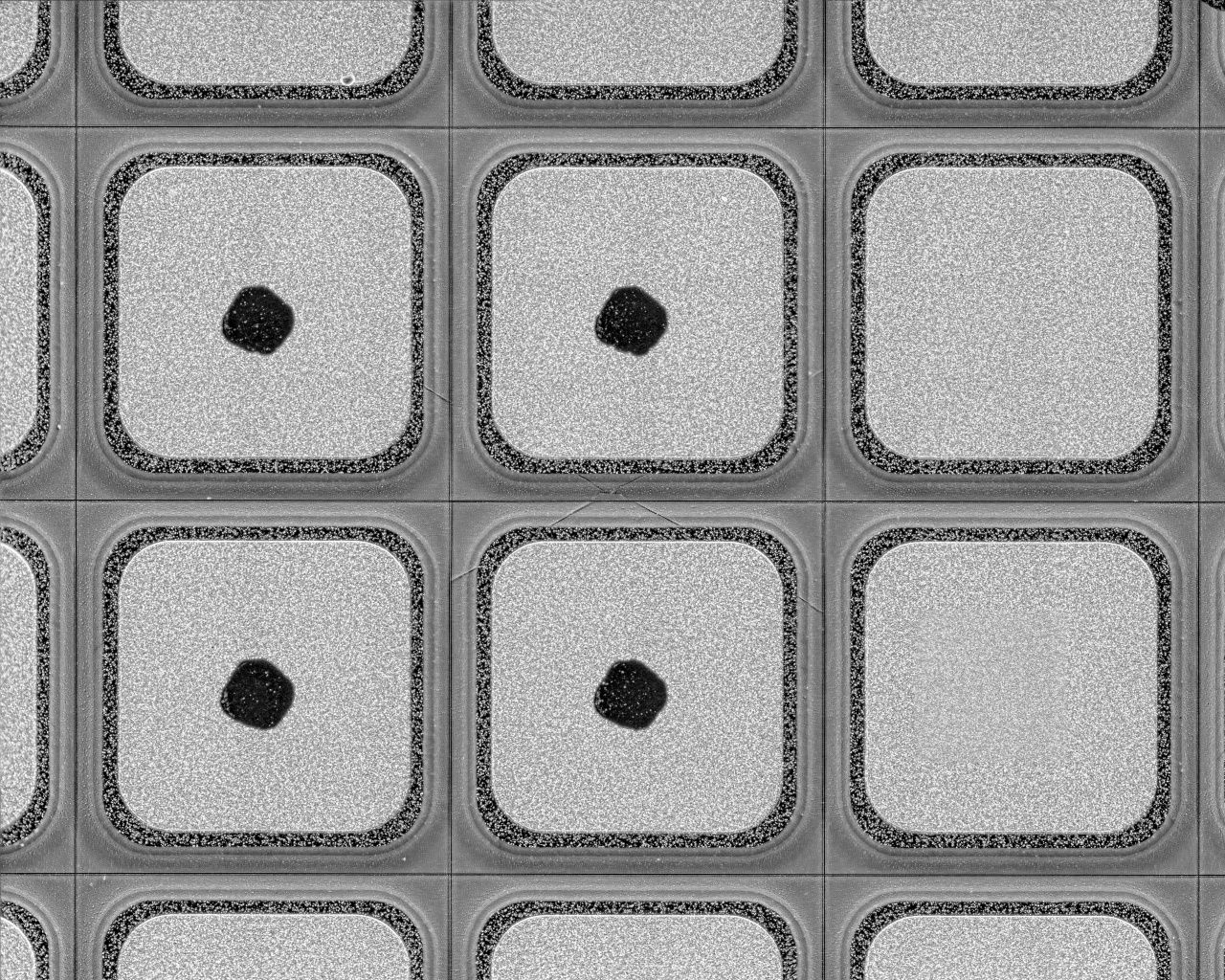 Mikrorissprüfung auf Leistungsdioden