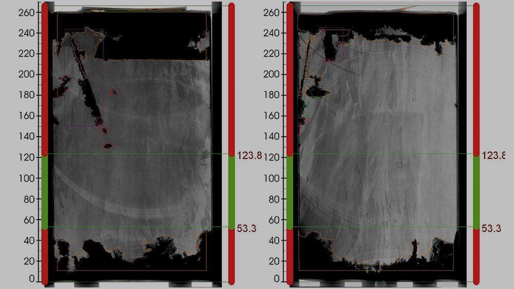 GUI: Inspection results