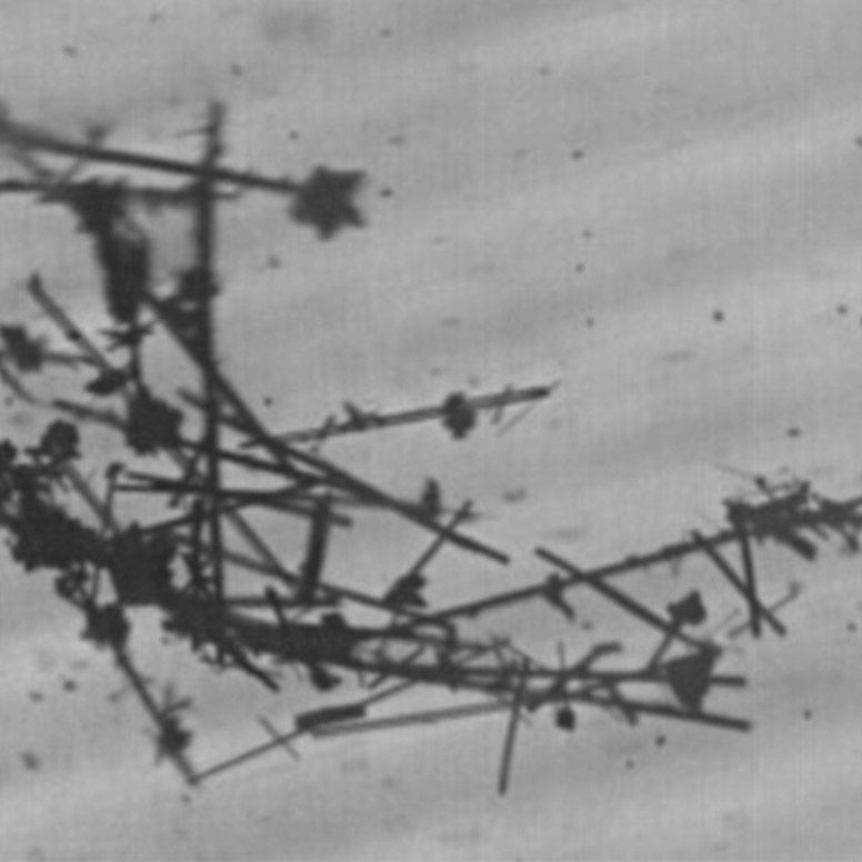 SiN-Nadeln und SiC Ablagerungen