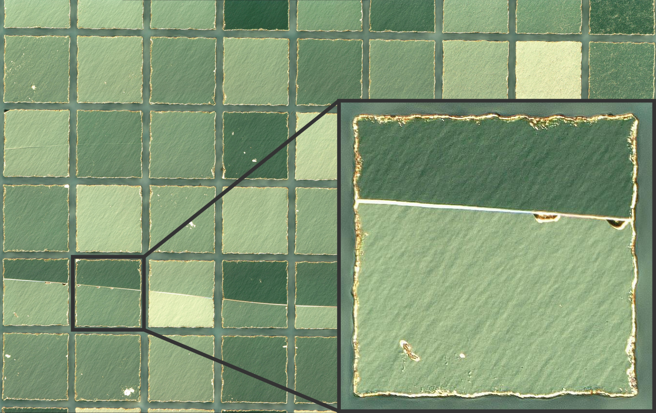 Sägegraben- und Rissprüfung