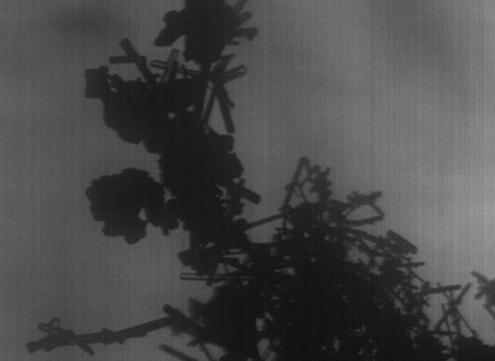 GUI: Inspection results